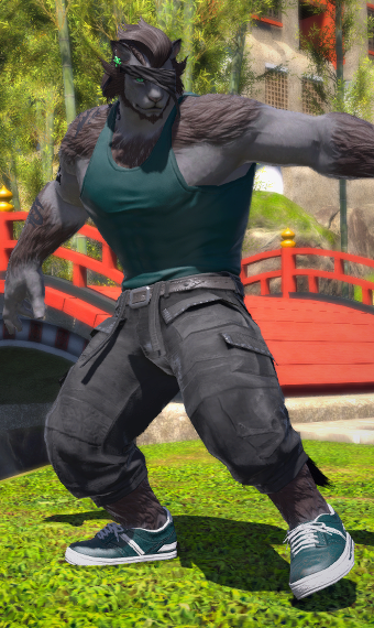 Hrothgar Casual Ninja | Eorzea Collection