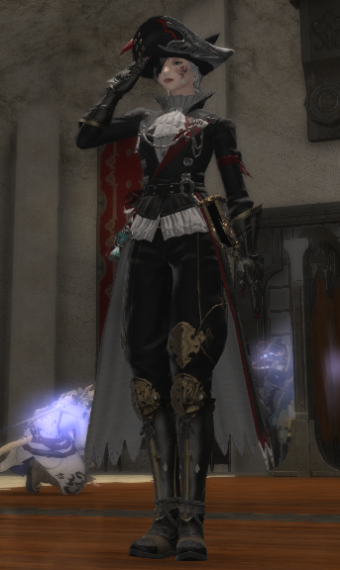 Pirate-Mage | Eorzea Collection