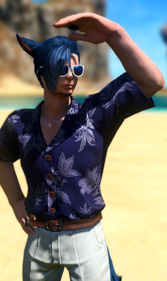 Cat Dad on Vacation | Eorzea Collection