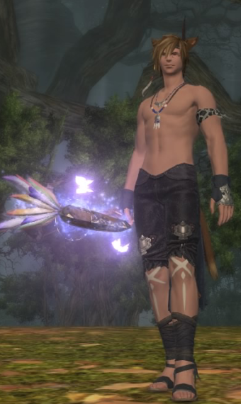 Darkwood Conjurer | Eorzea Collection