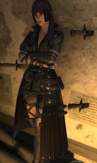 The Professional | Eorzea Collection