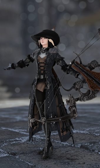 d vampire hunter coat