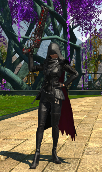 Demon Hunter  Eorzea Collection