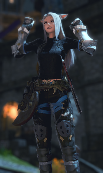 Novice Paladin | Eorzea Collection