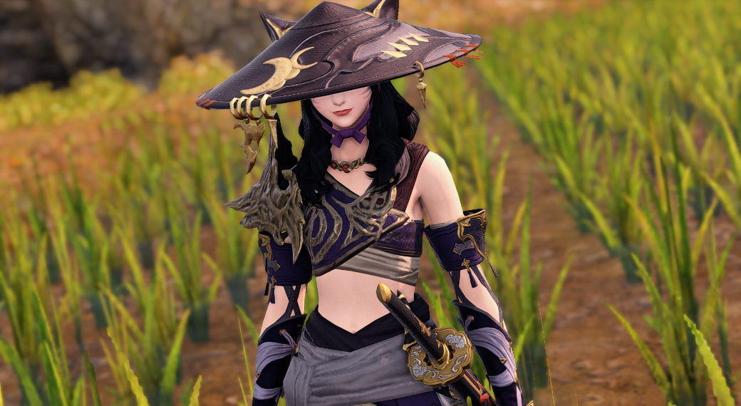 to the Rice Fields Eorzea Collection