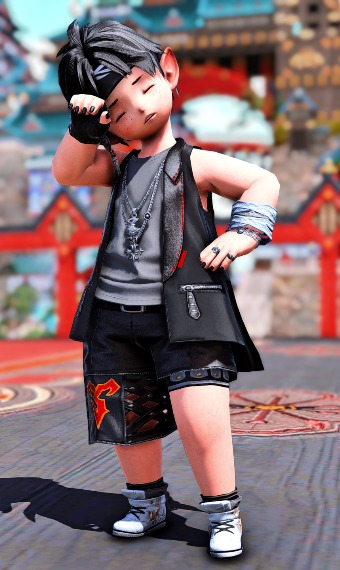 Party boy | Eorzea Collection