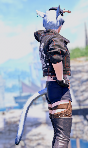 Hot Catboy Summer Eorzea Collection