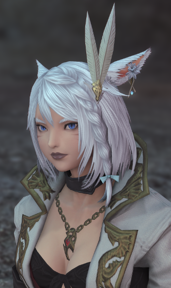 [Main Role] - Carelessness Punisher | Eorzea Collection