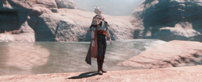 Vulpes Ferrilata Eorzea Collection