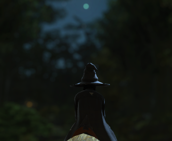 Second image