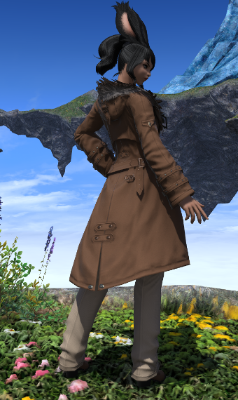 Adventuring Above The Clouds Eorzea Collection