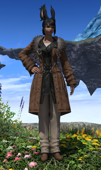 Adventuring Above The Clouds Eorzea Collection