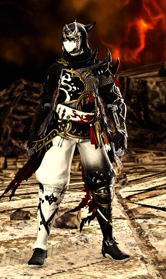 Ninja Set  Eorzea Collection