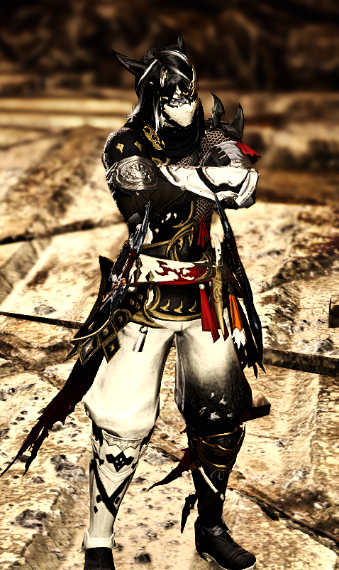 Ninja Set  Eorzea Collection