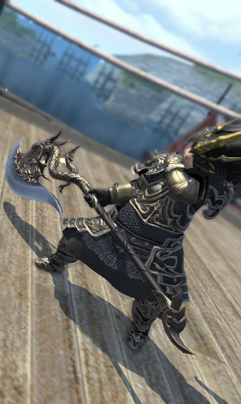 lordless warrior