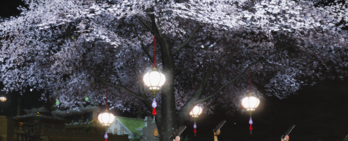 Sakura | Eorzea Collection