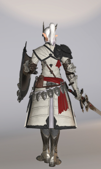 29 PLD_lv80 | Eorzea Collection
