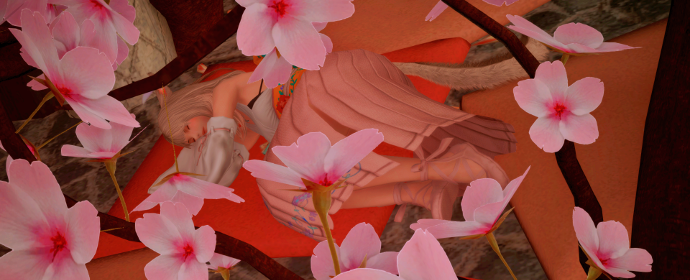 Third image