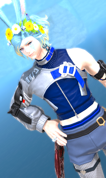 Cyber Bunny | Eorzea Collection