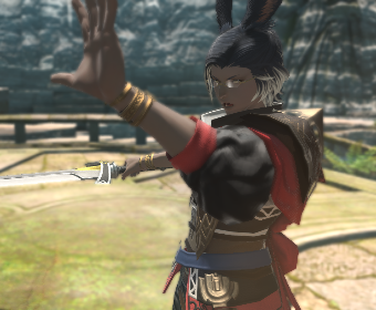 Mercenary Eorzea Collection