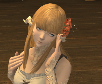 Aspiring Bard | Eorzea Collection