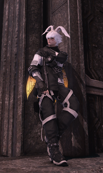 Solution 19 1 7 5 | Eorzea Collection