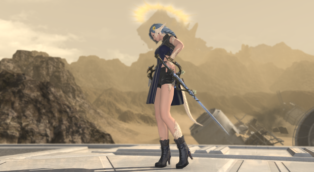 Midnight Daisies | Mesh Set Wear
