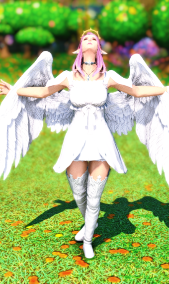 Angel Eorzea Collection