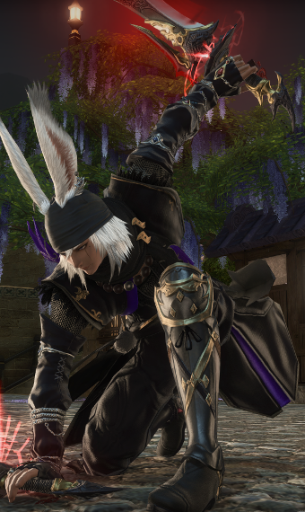 True Ninja | Eorzea Collection
