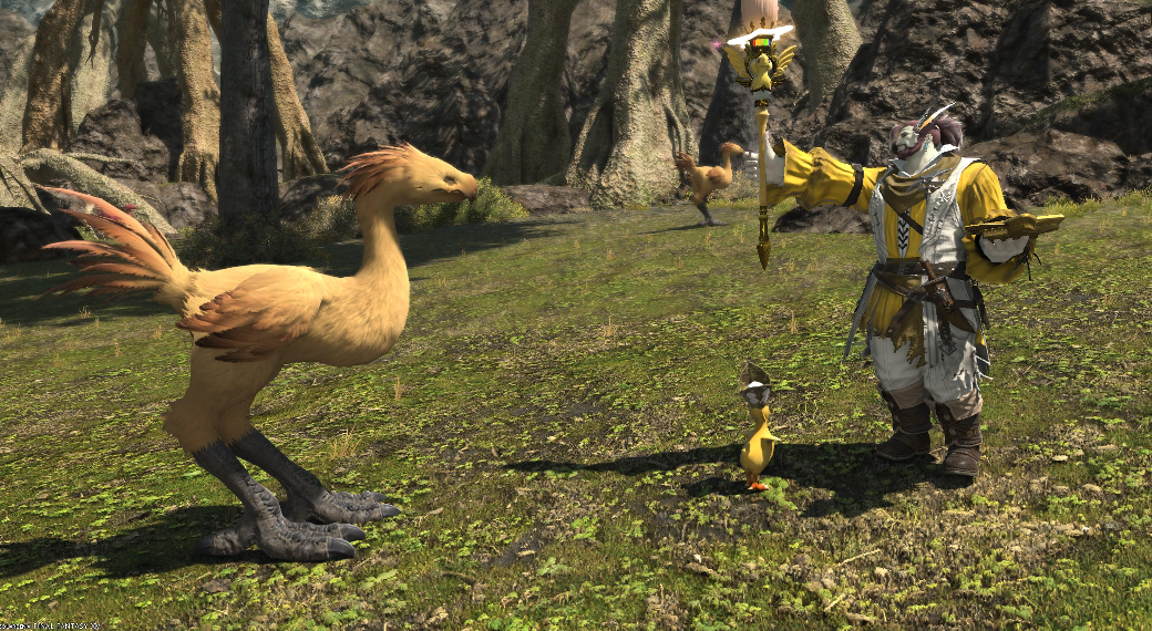 The Chocobo artist | Eorzea Collection