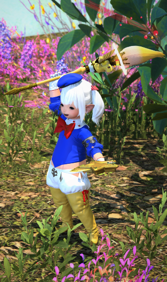 Donald Duck | Eorzea Collection