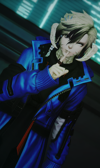 gore-tex | Eorzea Collection