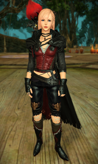 Adventuring Artist Eorzea Collection