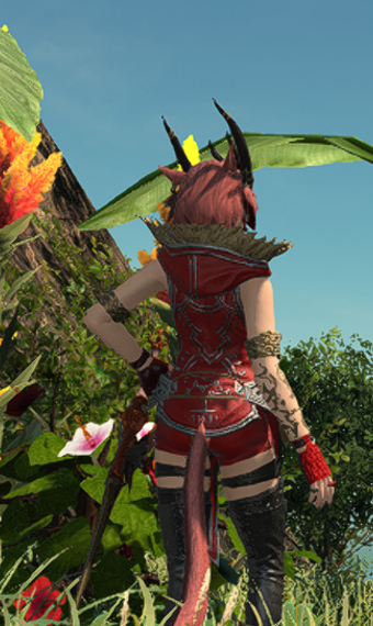 Wild Red | Eorzea Collection