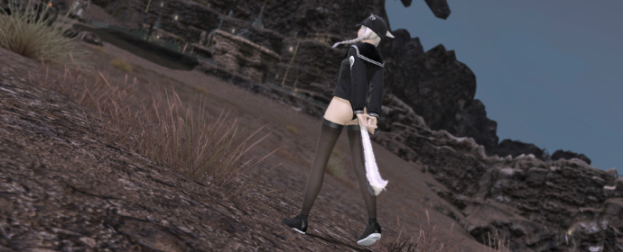 Third image