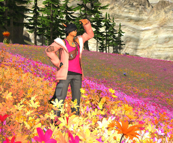 First image