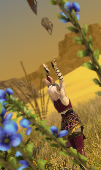 Oasis | Eorzea Collection