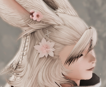 Second image