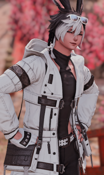 Endless Everseeker | Eorzea Collection