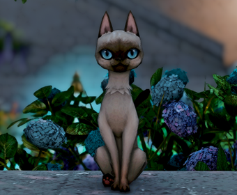Second image