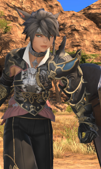 Guardian Eorzea Collection