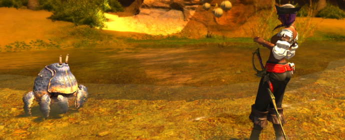Third image