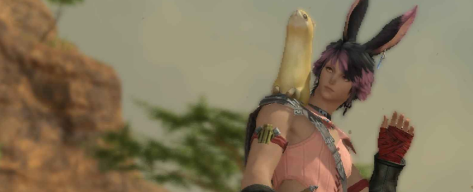 Third image