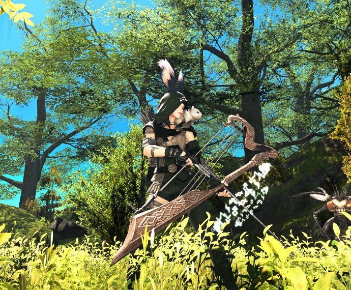 Bun'edaine Ranger | Eorzea Collection