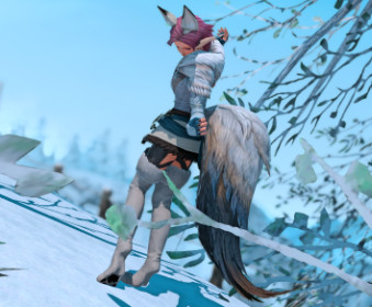 Second image