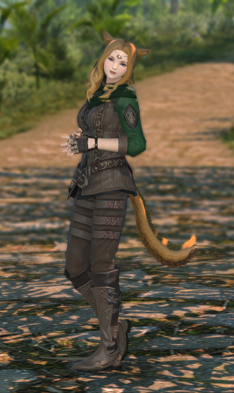 Adventure Eorzea Collection