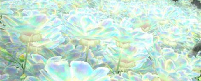 Third image