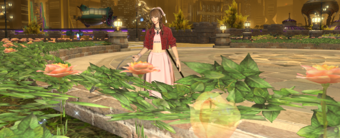 Third image