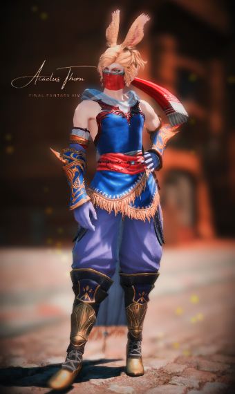 [Mr Thorn] - 17 | Eorzea Collection