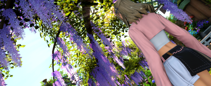 Third image